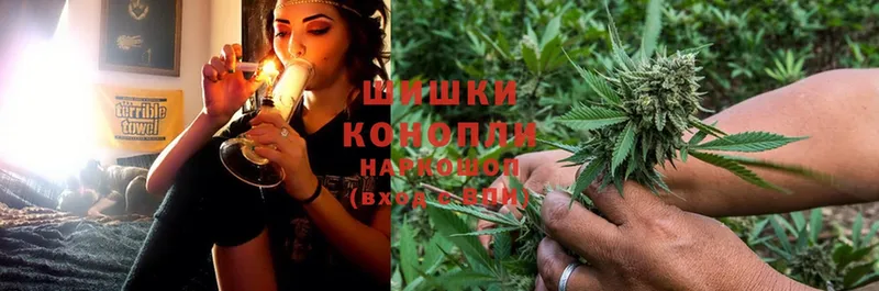 Канабис Ganja  Аркадак 